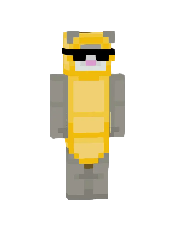 skin Koci Mistrz Stylu