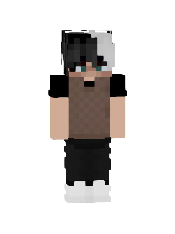 skin Dwukolorowy Stylista