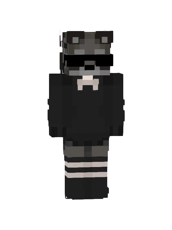 skin Czarny Raccoon