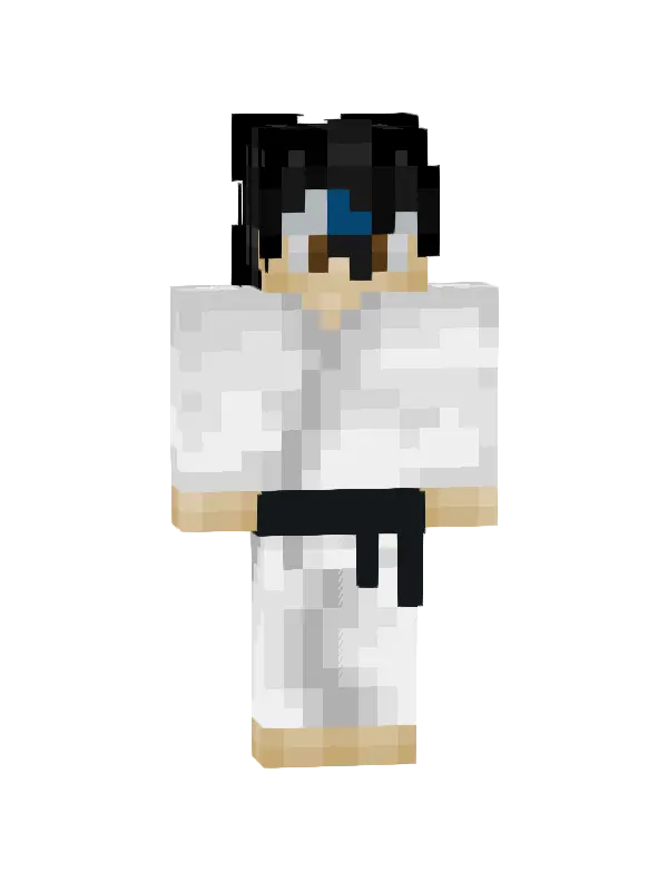 skin Karateka w Akcji